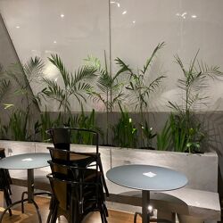 Dum Dum Cafe