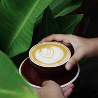 Cafe Latte Cafe Latte